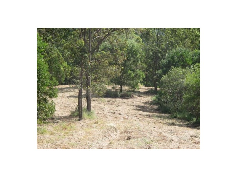 Mooloolah Valley QLD 4553