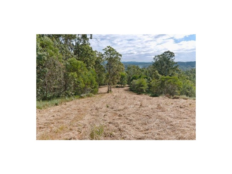 Mooloolah Valley QLD 4553