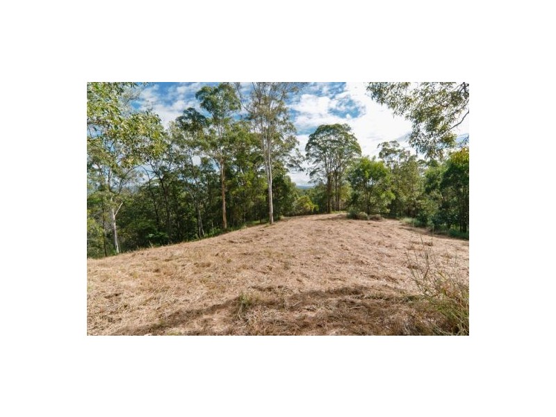 Mooloolah Valley QLD 4553