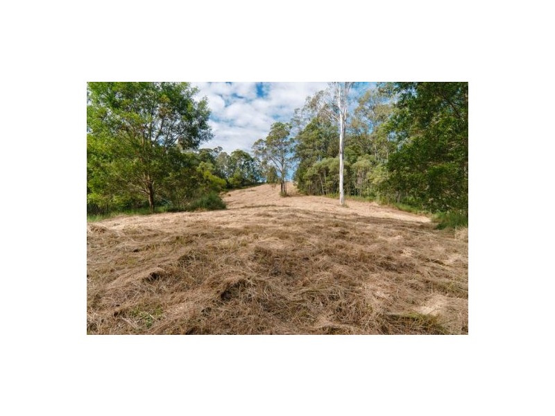 Mooloolah Valley QLD 4553