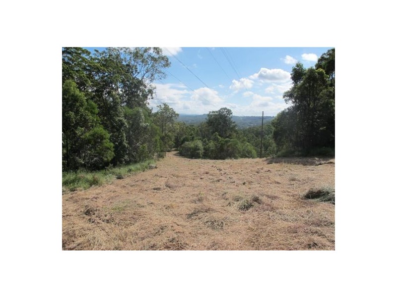 Mooloolah Valley QLD 4553