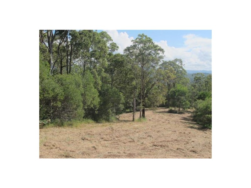 Mooloolah Valley QLD 4553