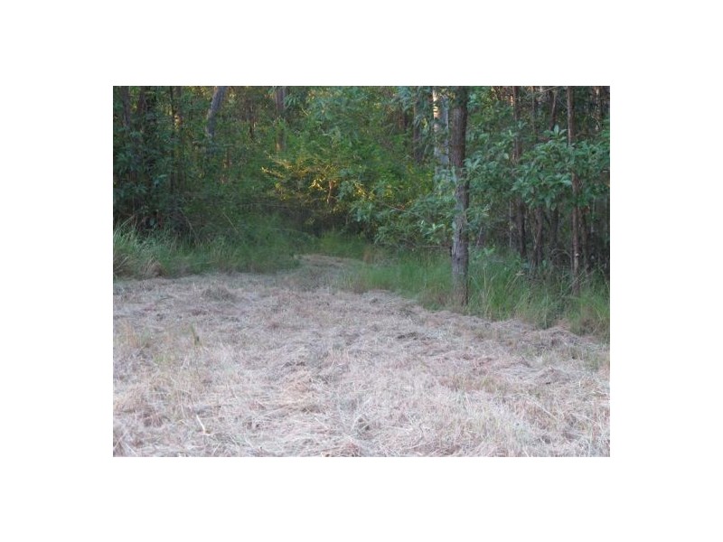 Mooloolah Valley QLD 4553