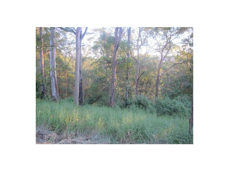 Mooloolah Valley QLD 4553