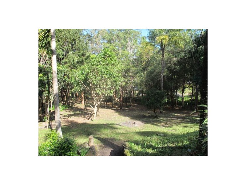 223 Neill Road, Mooloolah Valley QLD 4553