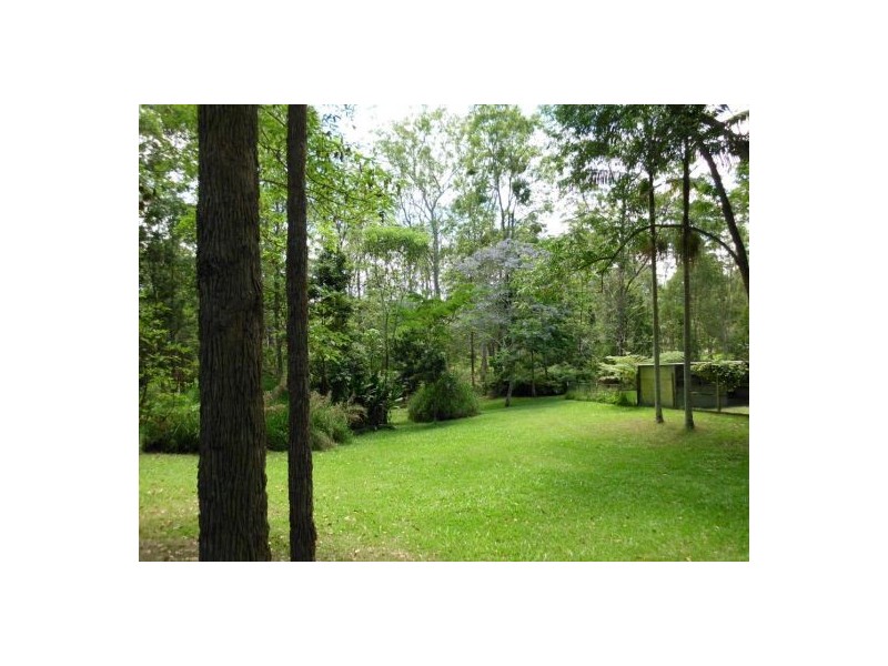 Mooloolah Valley QLD 4553