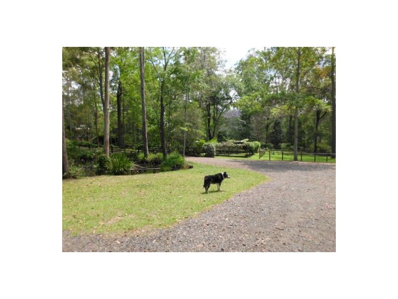 Mooloolah Valley QLD 4553