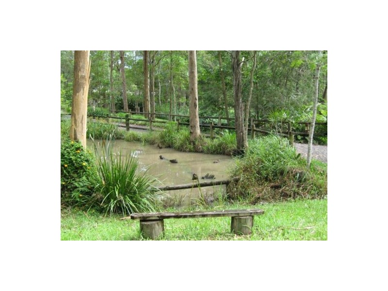 Mooloolah Valley QLD 4553