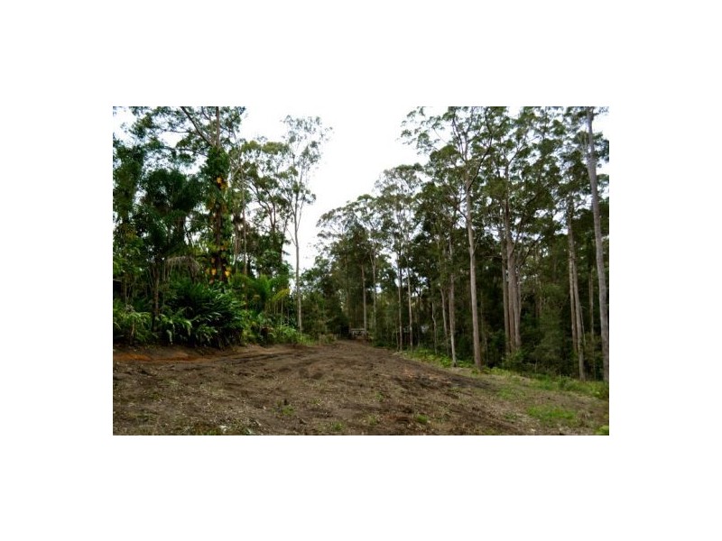 Mooloolah Valley QLD 4553