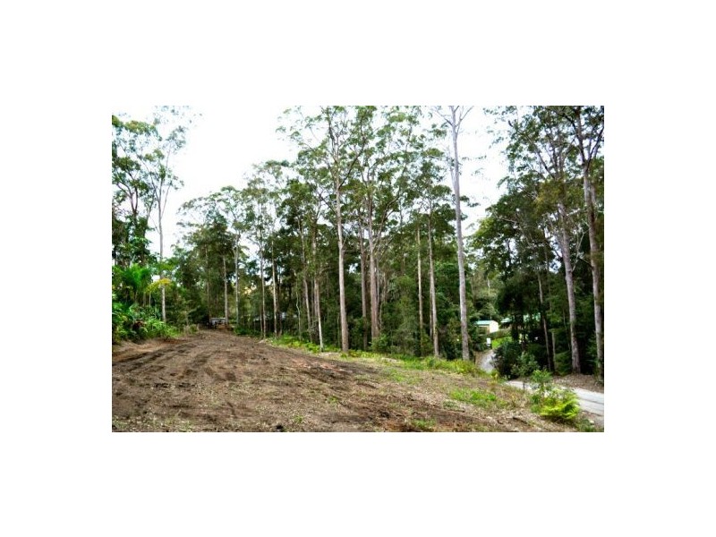 Mooloolah Valley QLD 4553