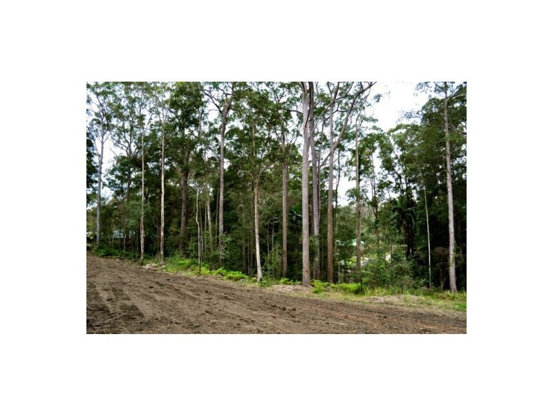 Mooloolah Valley QLD 4553