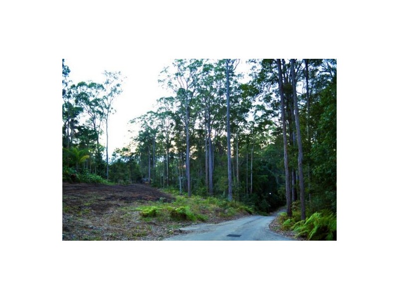 Mooloolah Valley QLD 4553