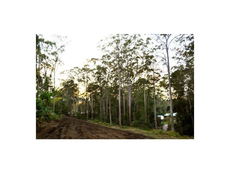 Mooloolah Valley QLD 4553