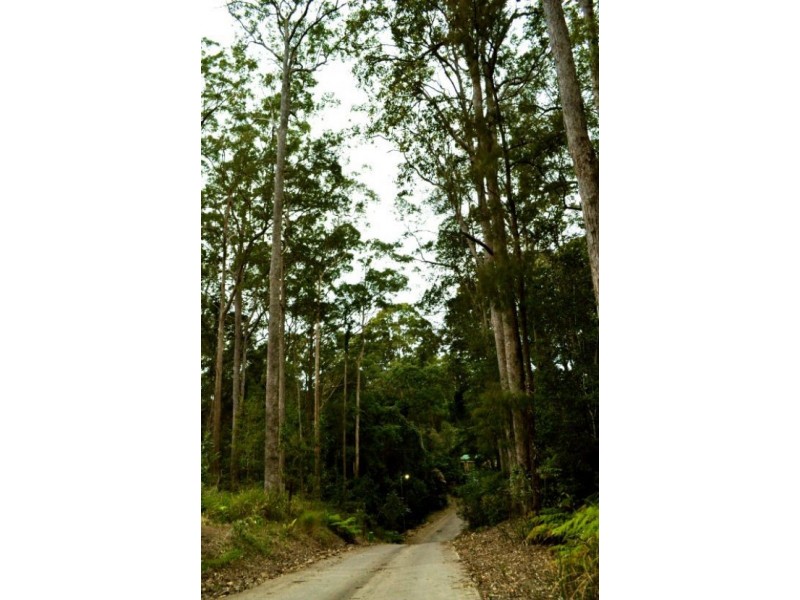 Mooloolah Valley QLD 4553