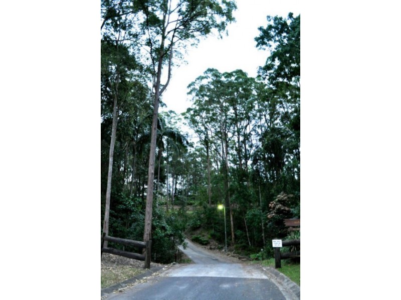 Mooloolah Valley QLD 4553