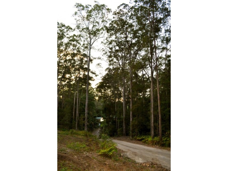 Mooloolah Valley QLD 4553