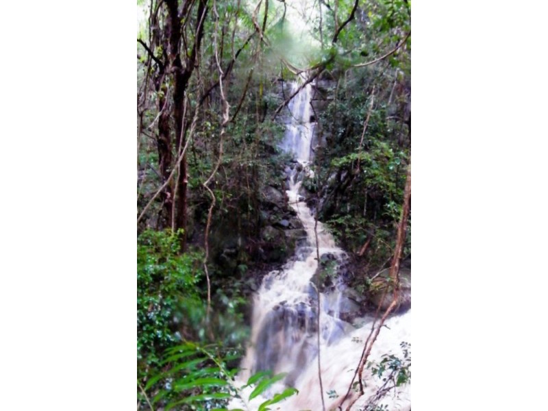 Diamond Valley QLD 4553