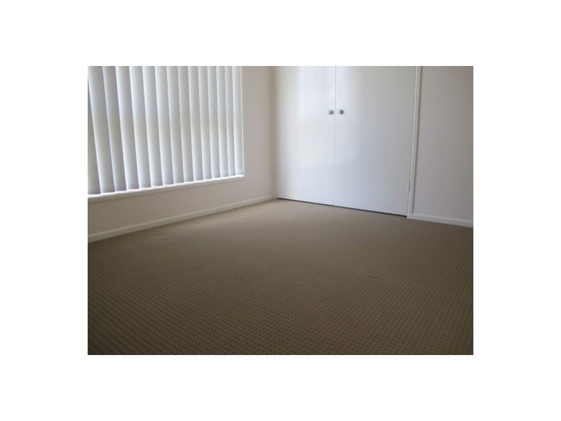 46 Paget Street, Mooloolah Valley QLD 4553