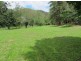Mooloolah Valley QLD 4553