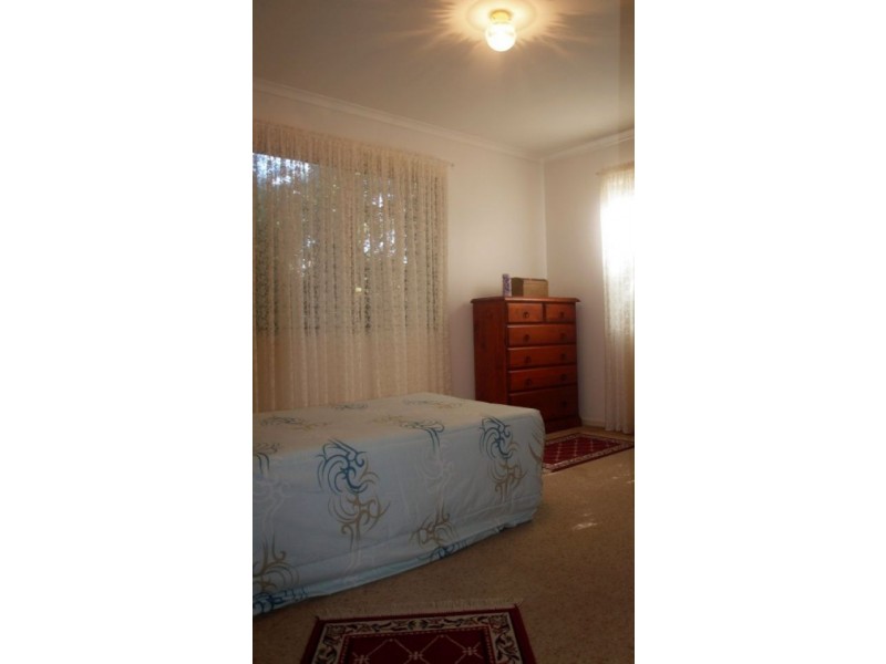 60 Paget Street, Mooloolah Valley QLD 4553