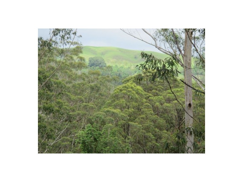 505 Neill Road, Diamond Valley QLD 4553