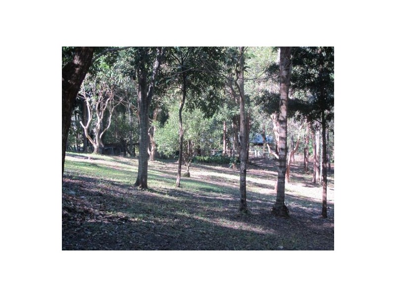 223 Neill Road, Mooloolah Valley QLD 4553