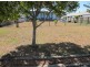 Wurtulla QLD 4575