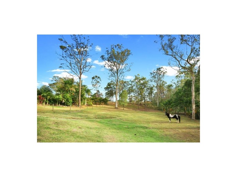 345 Connection Road, Mooloolah Valley QLD 4553