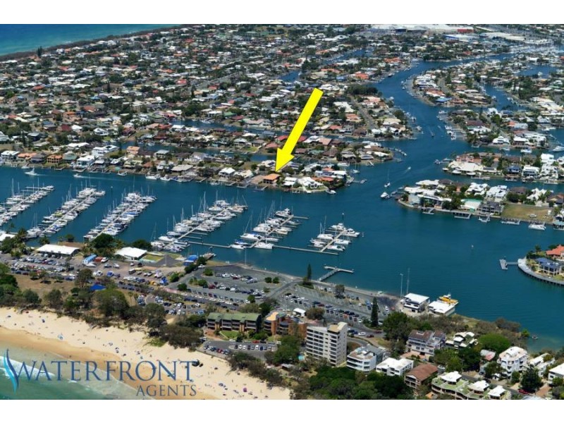 35 Adaluma Avenue, Buddina QLD 4575