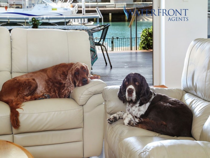 19 Bangalow Street, Minyama QLD 4575