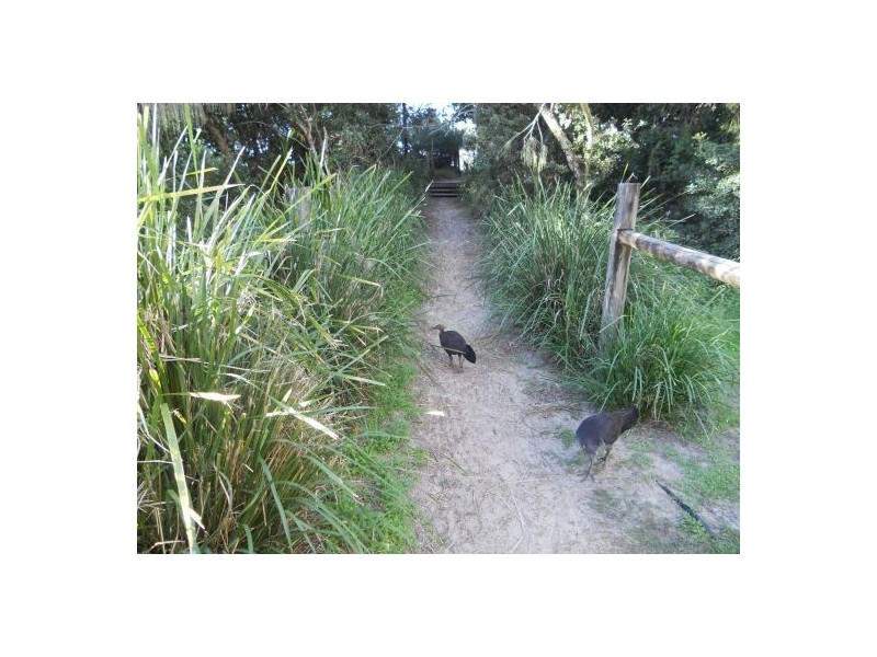 4/84 Parkyn Parade “The Spit”, Mooloolaba QLD 4557