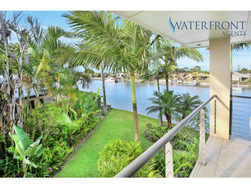 17 Coomaroo Crescent, Minyama QLD 4575