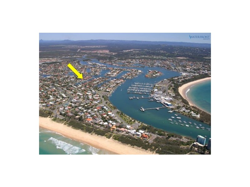 17 Barellan Avenue, Buddina QLD 4575