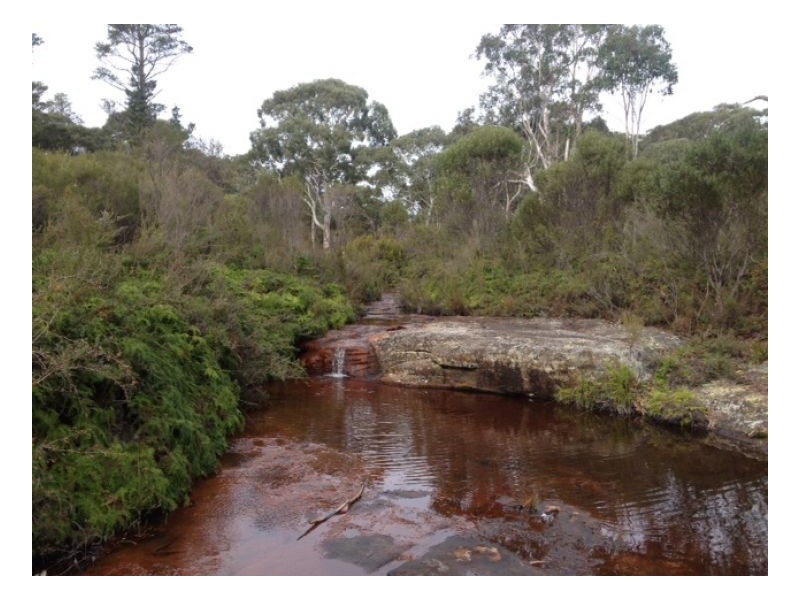Moss Vale NSW 2577