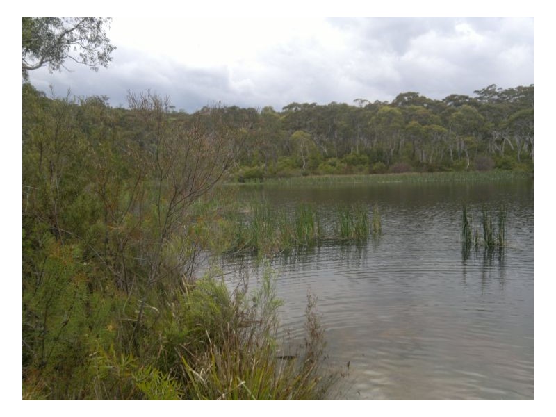 Moss Vale NSW 2577