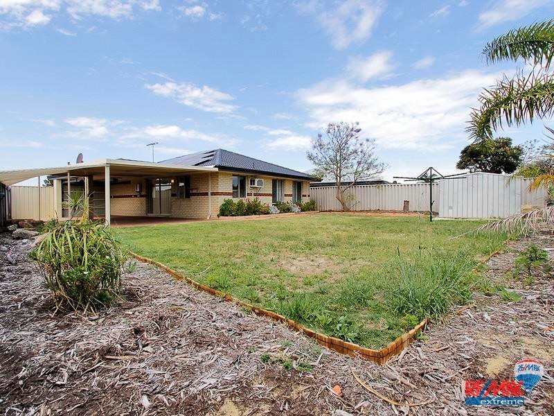 61 Frond Circuit, Banksia Grove WA 6031