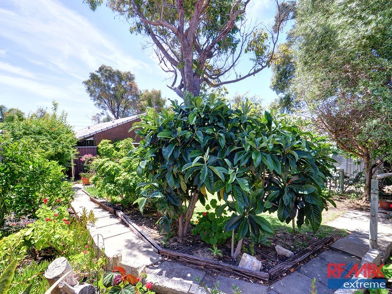 54 Eddystone Avenue, Craigie WA 6025