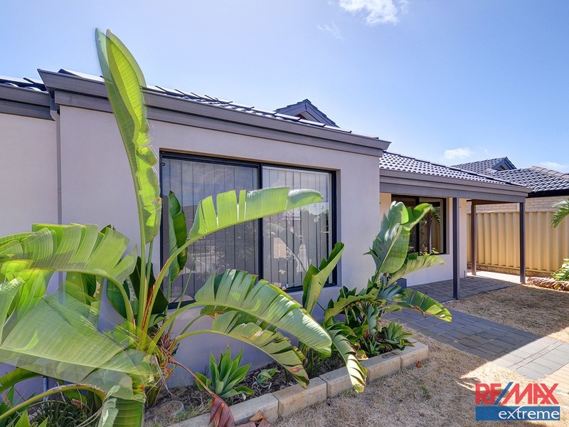 9 Knighton Way, Butler WA 6036