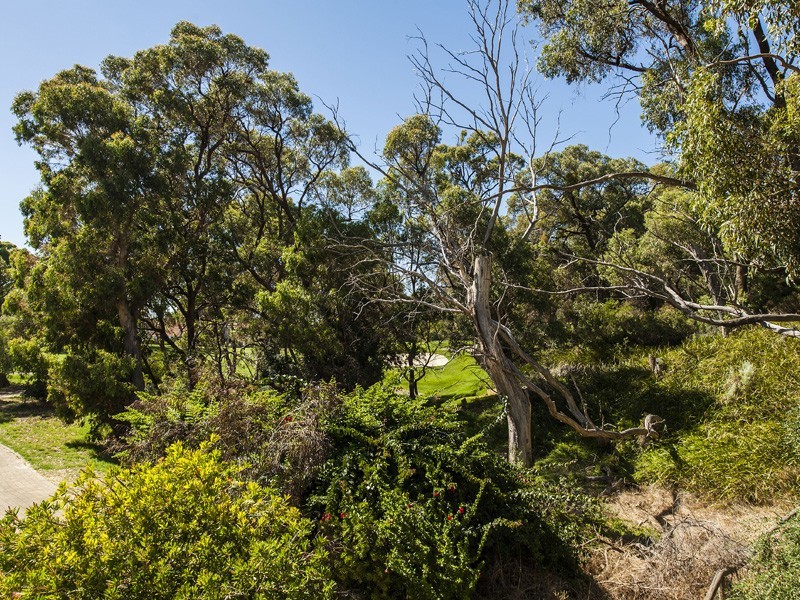 80 Long Island Pass, Connolly WA 6027