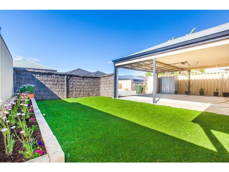18 Carlin Way, Butler WA 6036