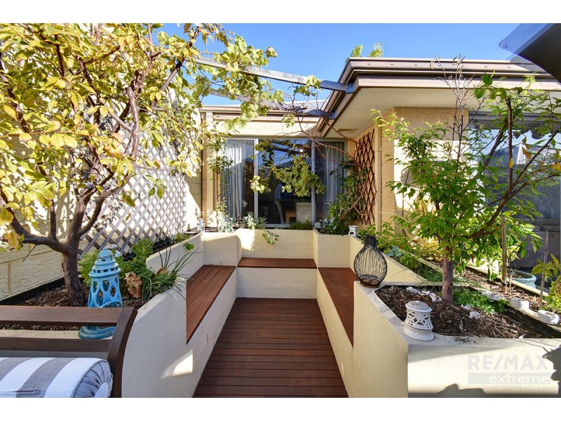 17 Micrantha Way, Banksia Grove WA 6031