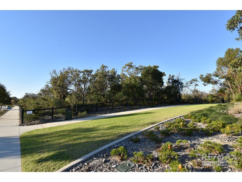 17 Micrantha Way, Banksia Grove WA 6031