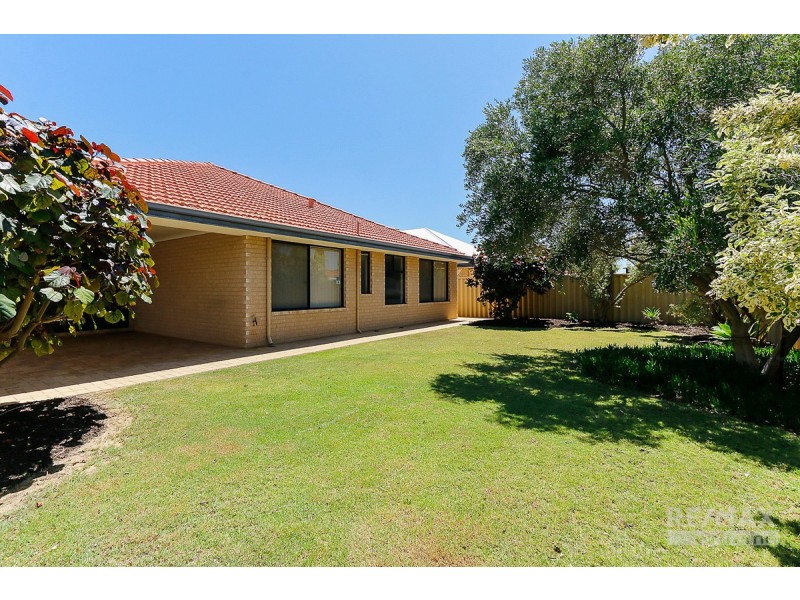 8 Salwick Street, Butler WA 6036