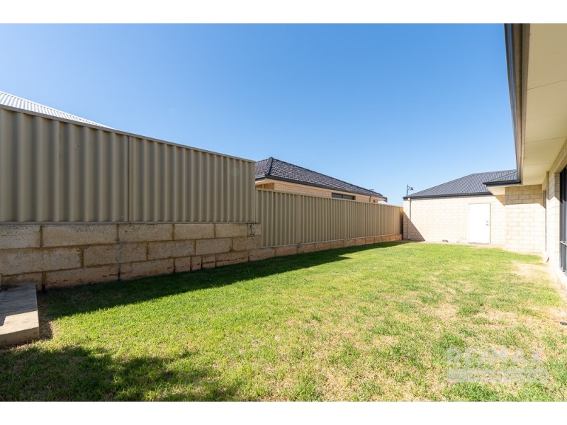 9 Costelloe Gardens, Butler WA 6036