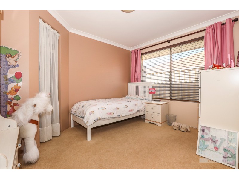 12 Frangista Road, Butler WA 6036