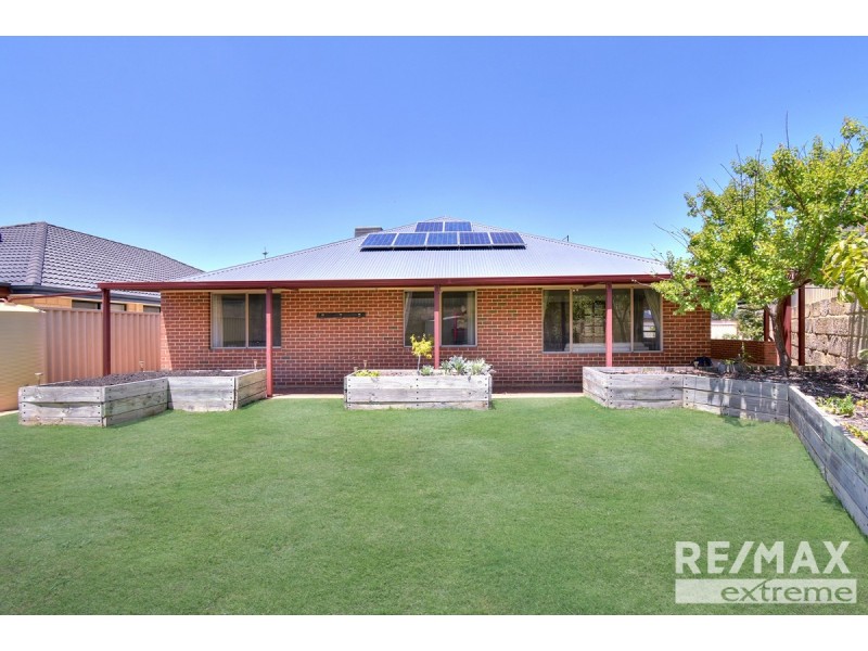 83 Benenden Avenue, Butler WA 6036