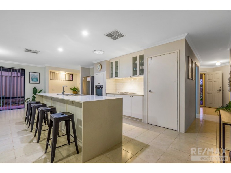 31 Fairbourne Approach, Butler WA 6036