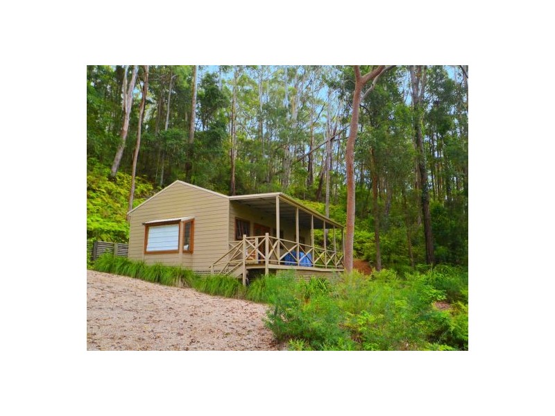 313 The Scenic Rd, Macmasters Beach NSW 2251