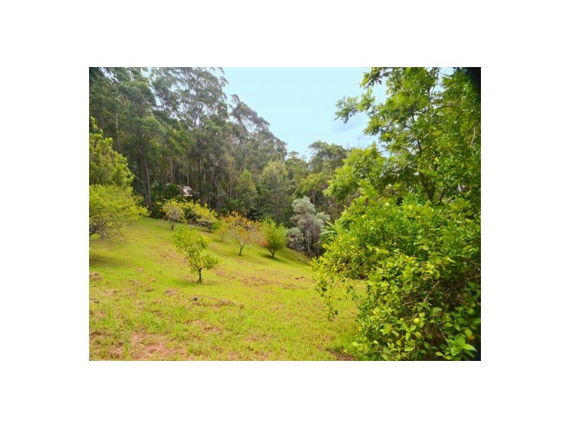 313 The Scenic Rd, Macmasters Beach NSW 2251