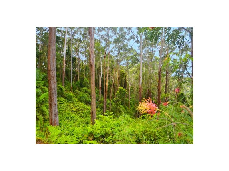 313 The Scenic Rd, Macmasters Beach NSW 2251